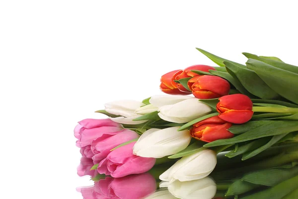 Fresh bouquet of tulips — Stock Photo, Image