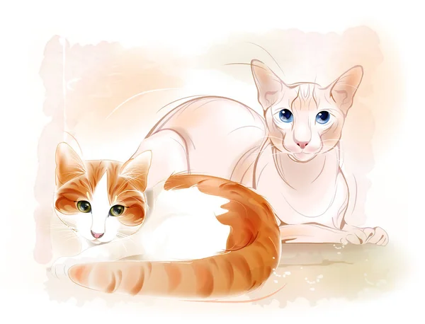 Katzenpaar auf dem Aquarell-Hintergrund. Ingwerkatze und Sphi — Stockvektor