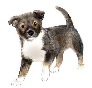şirin köpek yavrusu portresi