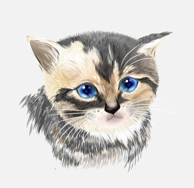 Üç renkli yavru kedi portresi. Evcil hayvan.