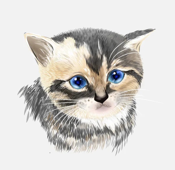 Portret van drie-gekleurde kitten. Huisdier. — Stockvector