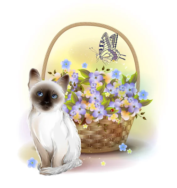 Joyeux anniversaire. Chaton siamois, papillon et panier avec vio — Image vectorielle