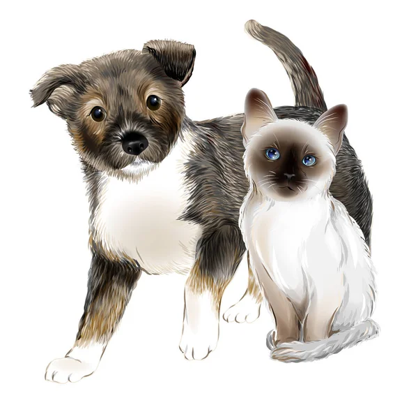 Πορτραίτο του χαριτωμένο κουτάβι και γατάκι ταϊλανδέζικα. Γάτας και σκύλου είναι παρ — Διανυσματικό Αρχείο