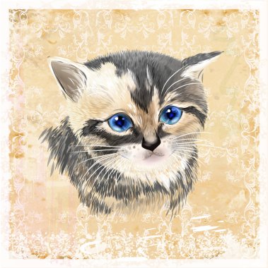 Üç renkli yavru kedi portresi. Ev evde beslenen hayvan. Vintage Ödülü