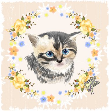 Üç renkli yavru kedi ve kelebek portresi. Evcil hayvan. 