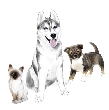 Beyaz ve gri yetişkin Sibirya Husky köpek, köpek yavrusu ve Tay kı