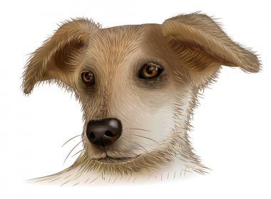 Bir köpeğin üstüne beyaz arka plan hisse senedi illüstrasyon vektör görüntü