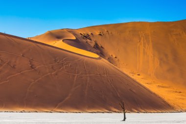 Namib-Naukluft Ulusal Parkı