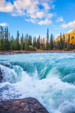 Güçlü Athabasca Falls