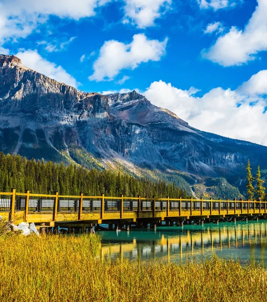 Wooden bridge over emerald Lake — Stock Photo, Image