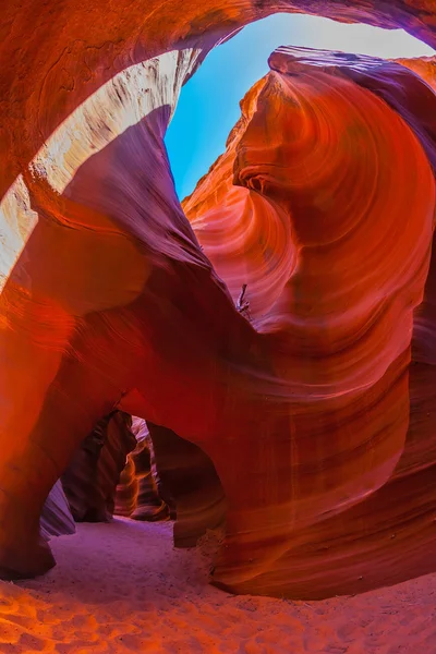 Fantastik slot Kanyon antilop — Stok fotoğraf