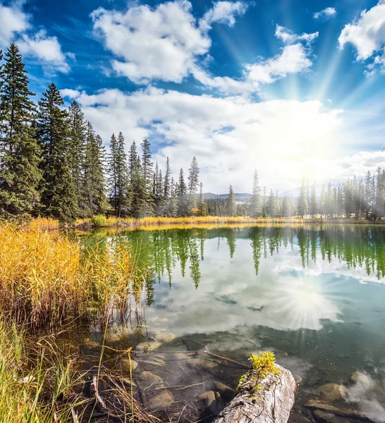 Día de otoño en el Parque Nacional Jasper —  Fotos de Stock