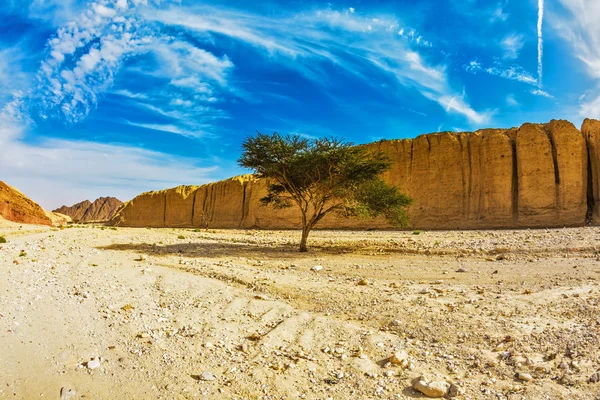 Stone desert near seaside resort — Stock Photo, Image