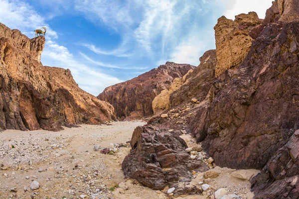 Black canyon in ancient Eilat mountains