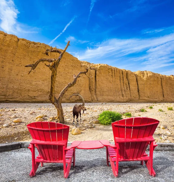 Two convenient red chairs — Stock Photo, Image