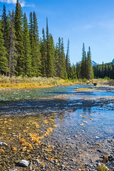 Nationaal park Banff — Stockfoto