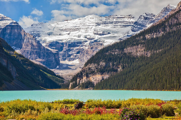 Flowers on bank of glacial Lake Louise