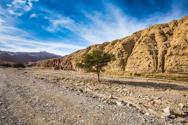Desierto de piedra en las montañas — Foto de Stock