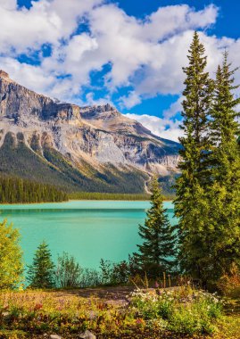Rocky Dağları'nda orman çevrili Gölü 