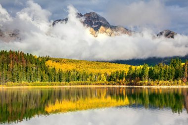 çim ve ağaçların göl suya yansıtan 