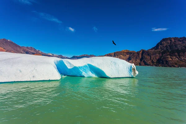 Gelo floe deriva na água do lago — Fotografia de Stock