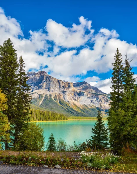 Lake surrounded by forest in Rocky Mountains — Stock Photo, Image