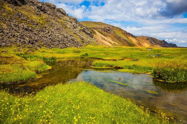 Grönt gräs bland hot springs i dalen — Stockfoto