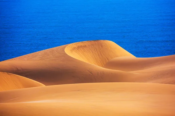 Піщані дюни в західному узбережжі океану — стокове фото