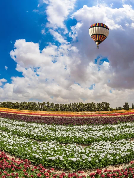 Ballon fliegt mit Blumen über Feld — Stockfoto