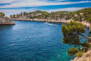 Bay dik bankalarla turist ile tekne