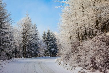 Snowy orman yolu boyunca kayak izi çalışır