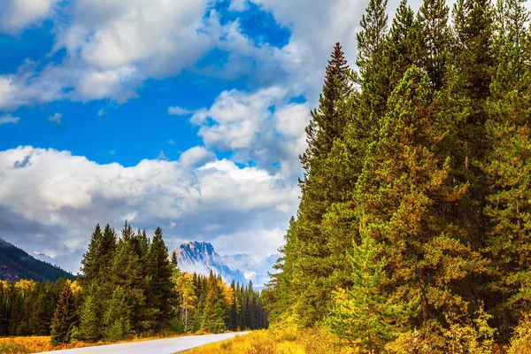 Motorvägen passerar bland höstens woods — Stockfoto