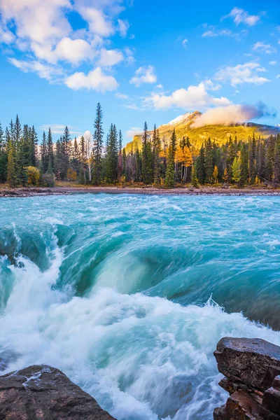 Rivière émeraude ruisseau avec forêt d'automne — Photo