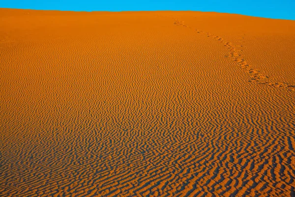 Plochý písečné duny na slunečné ráno — Stock fotografie