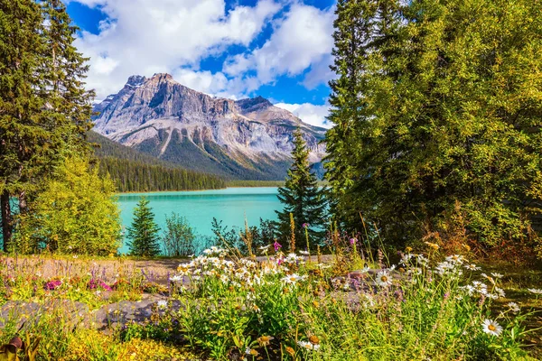 Waldlichtung in der Nähe des smaragdgrünen Sees und der Berge — Stockfoto