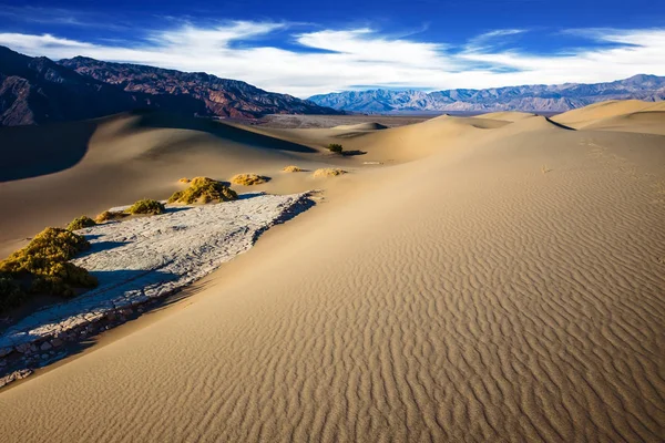 Prachtig zandstrand golven op duinen in woestijn — Stockfoto