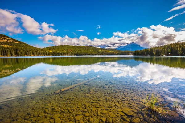 Helder water Pyramid Lake weerspiegelt dennenbossen — Stockfoto