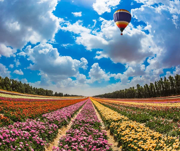 Balloon flying over field with flowers — Stock Photo, Image