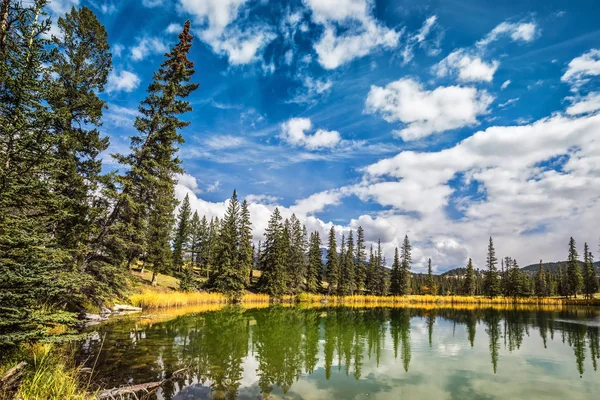 Lac avec réflexion de la forêt de conifères dans l'eau — Photo