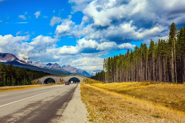 Ponte através da rodovia no Parque Nacional Jasper — Fotografia de Stock