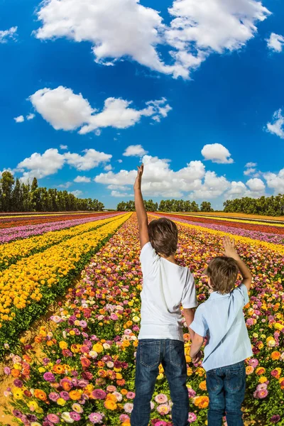 Två pojkar står på fältet med smörblommor — Stockfoto