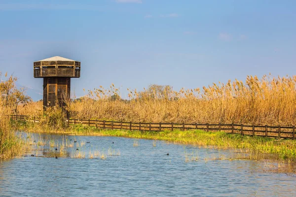 Lake yakınlarında kuş gözlemciliği için ahşap kule — Stok fotoğraf