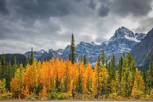 Hösten skogen bredvid vägen — Stockfoto
