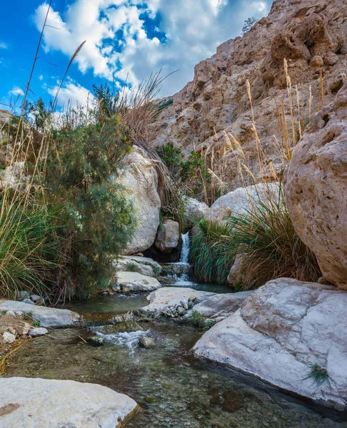 Мальовнича скеляста ущелина з галасливим водоспадом — стокове фото