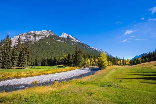 Ruisseau parmi les pelouses d'herbe jaune dans le parc — Photo