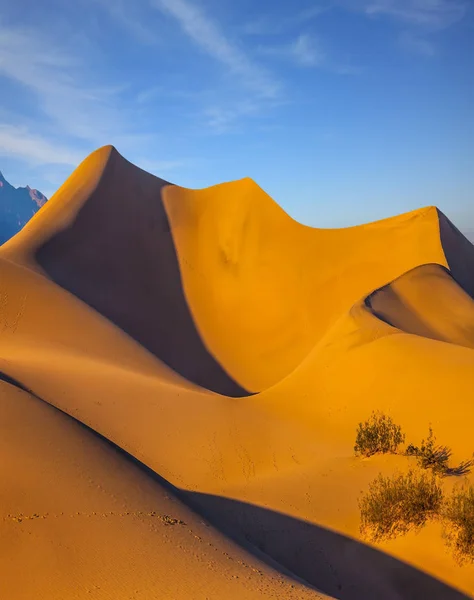 Torsioni di dune di sabbia arancione — Foto Stock