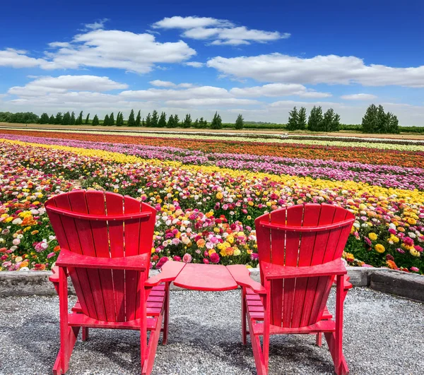 Dos sillas de jardín en terraza en el campo — Foto de Stock