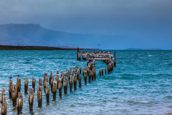 Pilastri di pontile di ormeggio distrutto in mare — Foto Stock