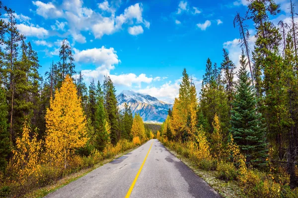Estrada que passa entre florestas de outono — Fotografia de Stock
