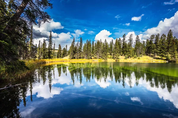 Als gevolg van in mirrored water van lake forest — Stockfoto